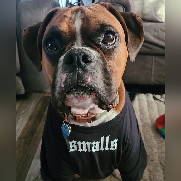 Meet your Posher, Trish - Picture 5 of 5